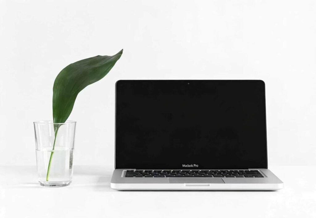 当前图片:computer