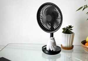 fan