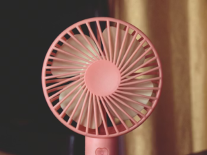 fan
